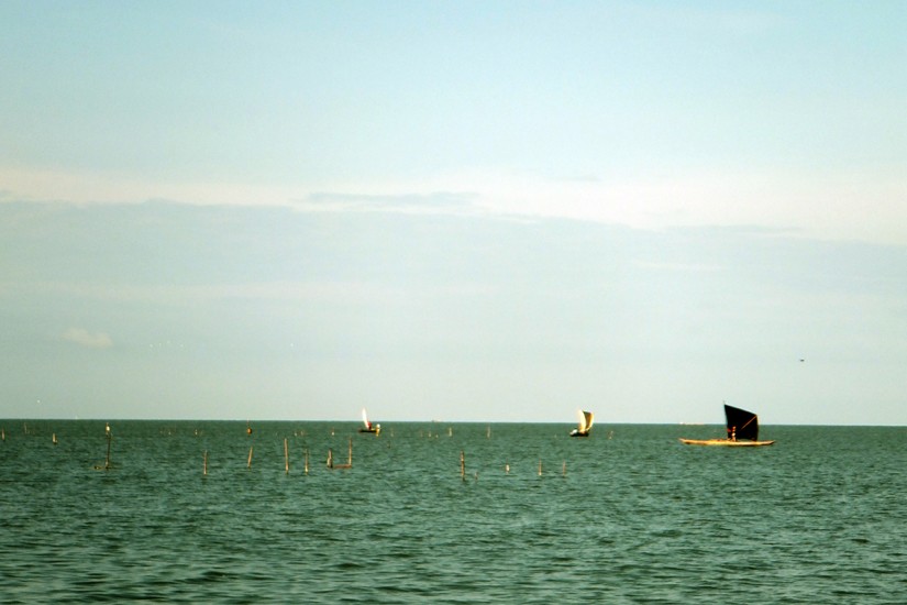 La cíenaga grande de santa Marta desde Tasajeras.