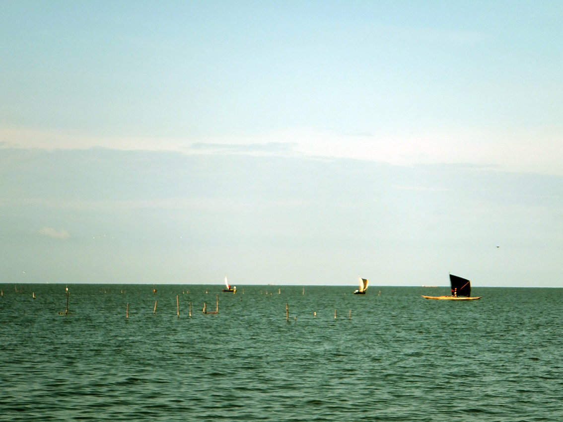 La cíenaga grande de santa Marta desde Tasajeras.