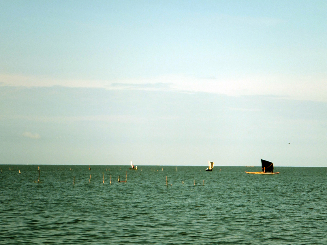 La cíenaga grande de santa Marta desde Tasajeras.